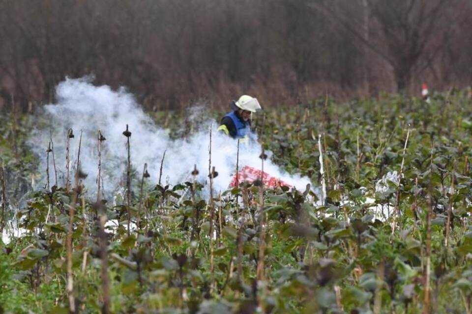 Feuerwehreinsatz Feuerwehreinsatz