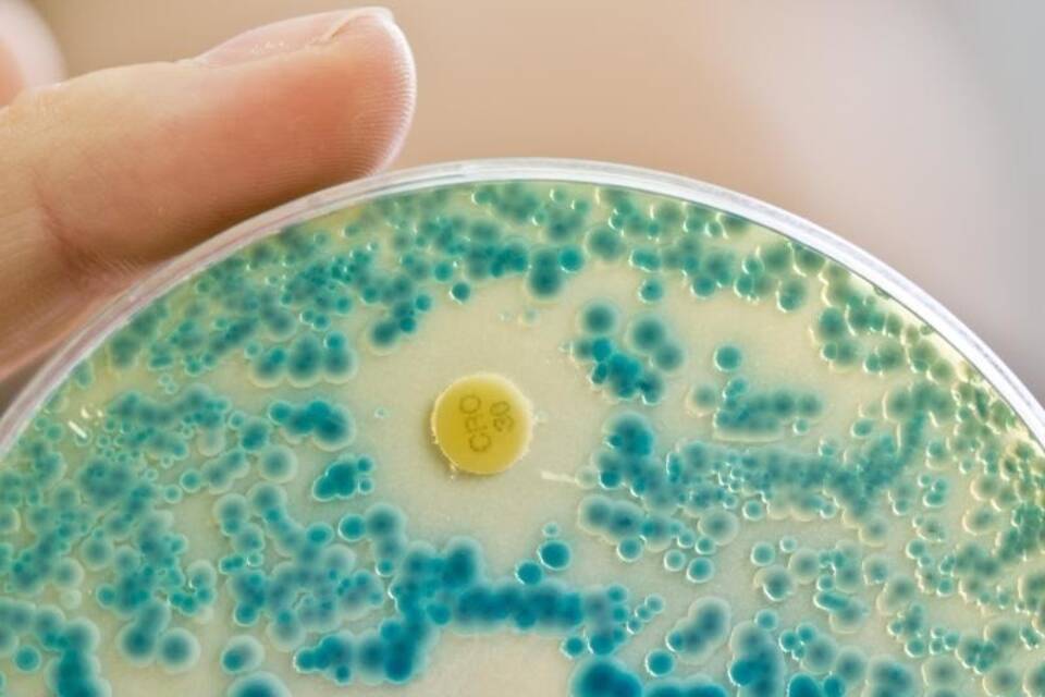 Multiresistente Keime