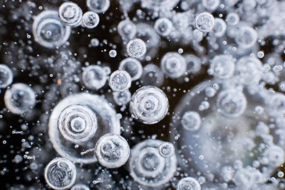 Winter Winter