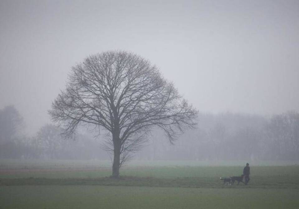 Dunst und Regen