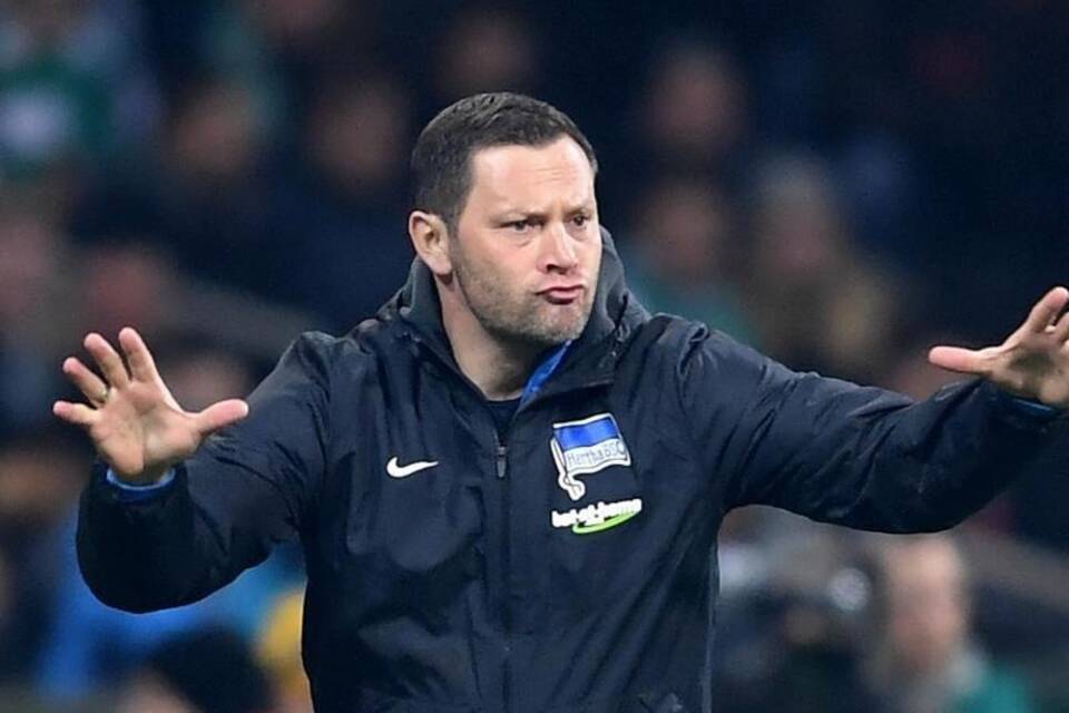 Pal Dardai Pal Dardai