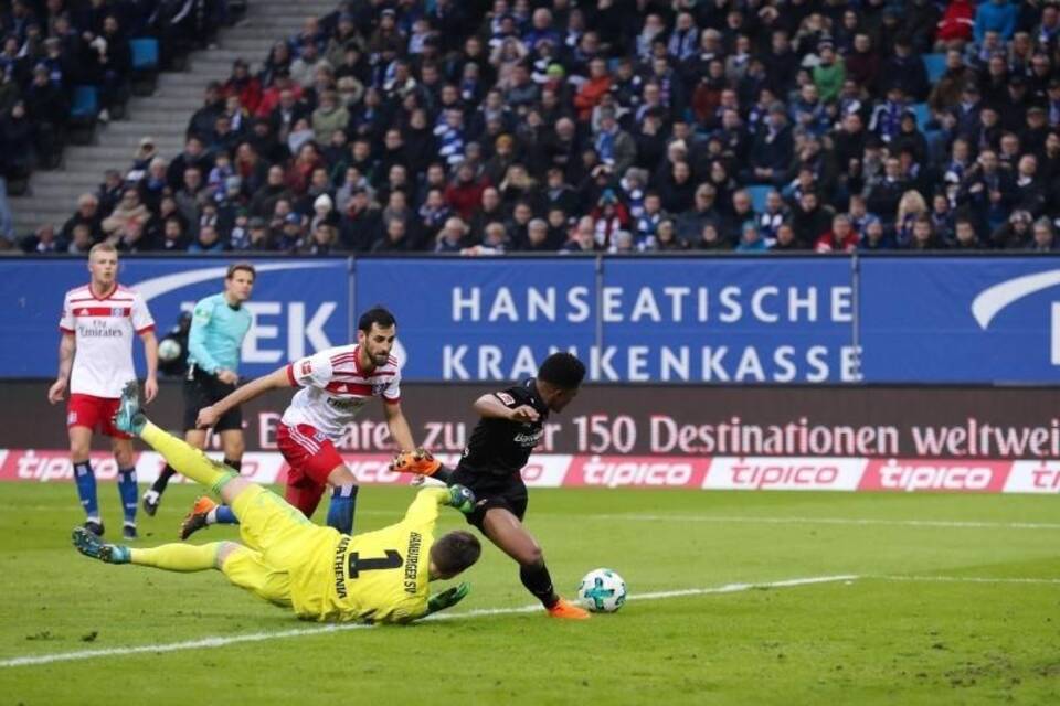 Hamburger SV - Bayer Leverkusen