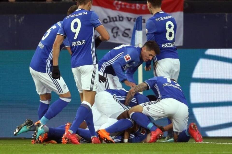 FC Schalke 04 - 1899 Hoffenheim