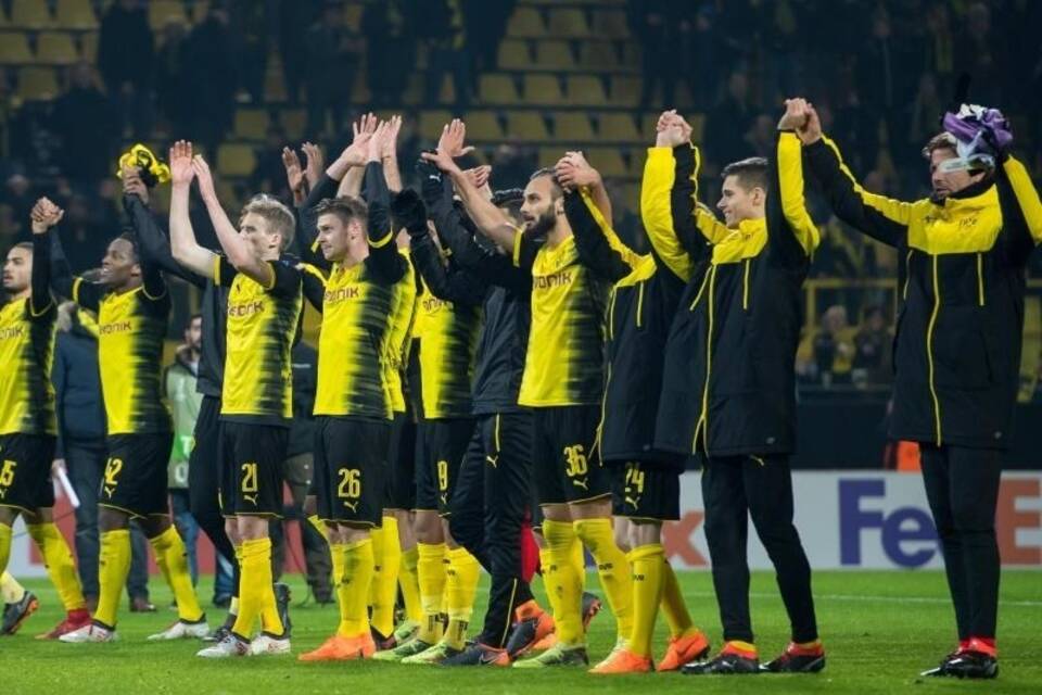 BVB BVB