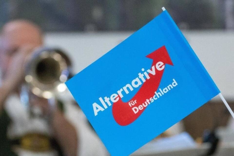 AfD-Fähnchen