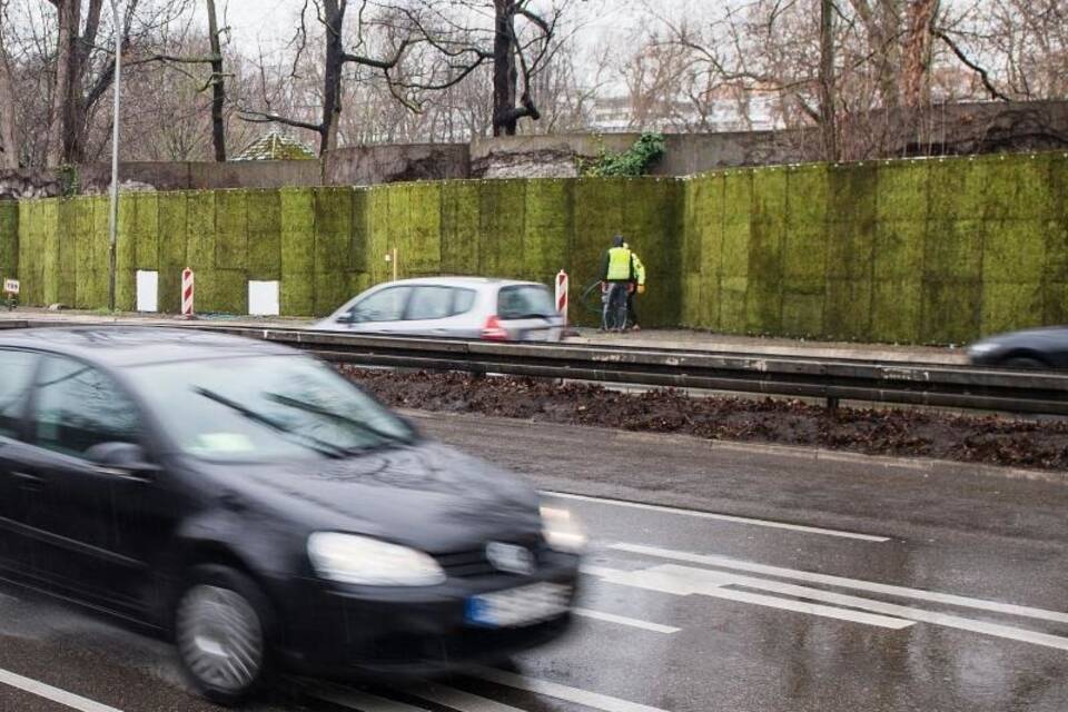 Mooswand gegen Feinstaub