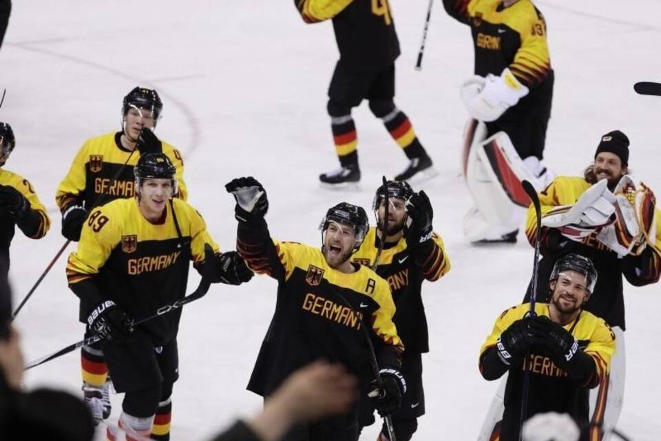 Eishockey-Cracks Eishockey-Cracks