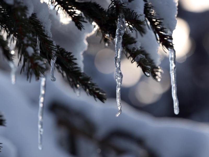 Hintergrund Wann Beginnt Der Fruhling Aus Aller Welt Rnz