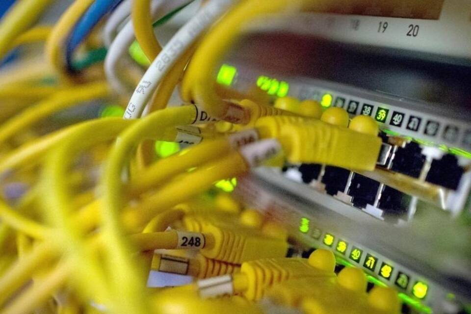 Netzwerkkabel