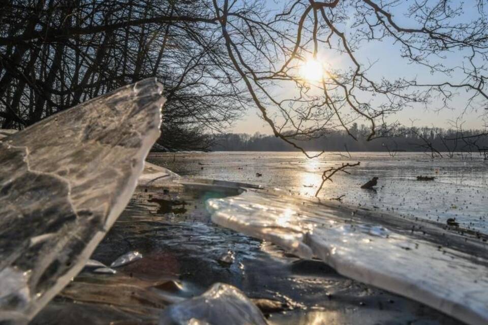 Winter Winter
