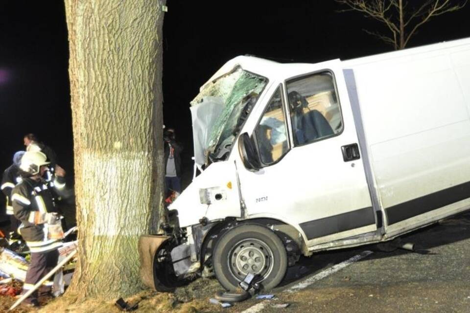 Unfall mit Elch Unfall mit Elch