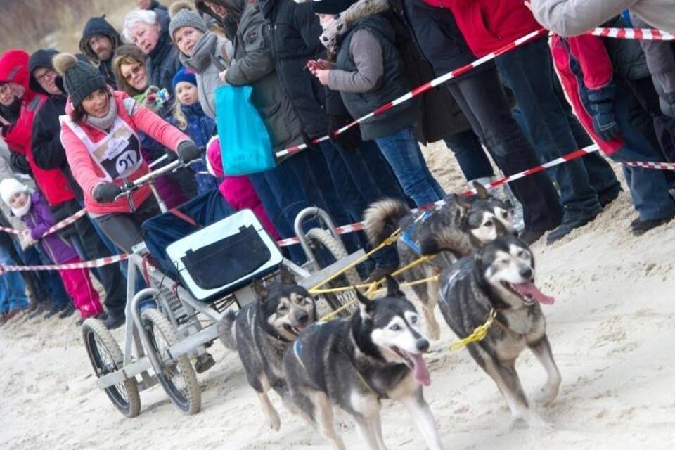 Gerit Kling beim Schlittenhunderennen