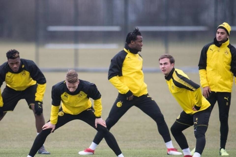 Training Training