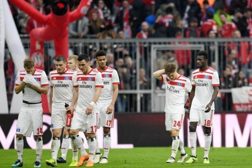 HSV-Profis HSV-Profis