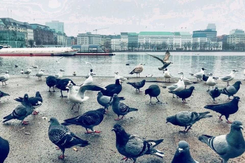 Jungfernstieg Jungfernstieg