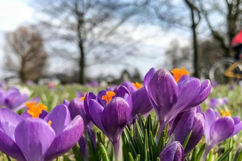 Frühlingshafte Temperaturen