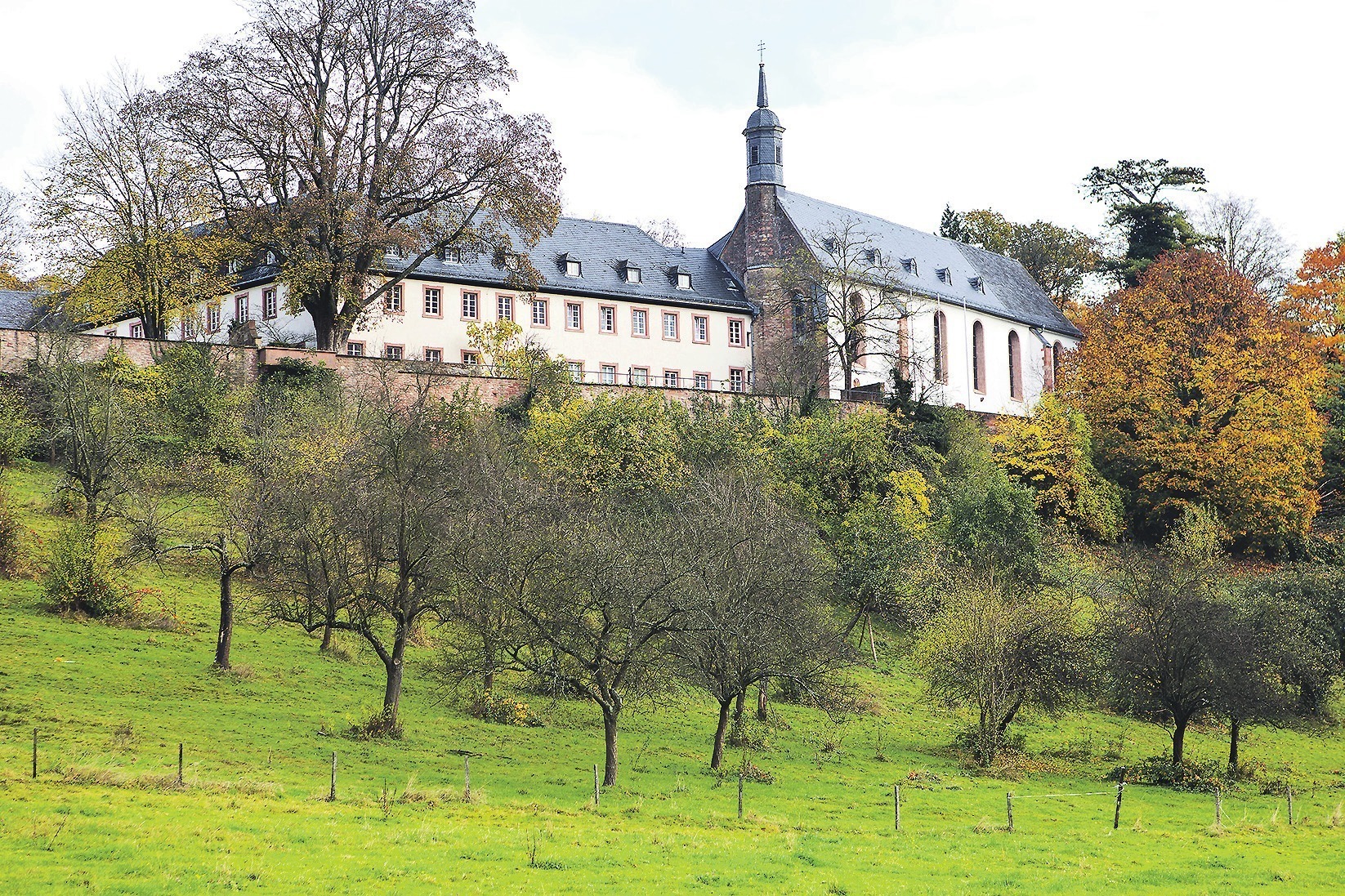 Kloster Stift Neuburg Ich Uberwache Neuburg Nicht Ich Wache Uber Neuburg Nachrichten Aus Heidelberg Rnz