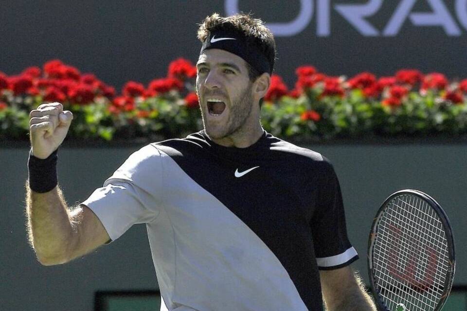 Juan Martin del Potro Juan Martin del Potro