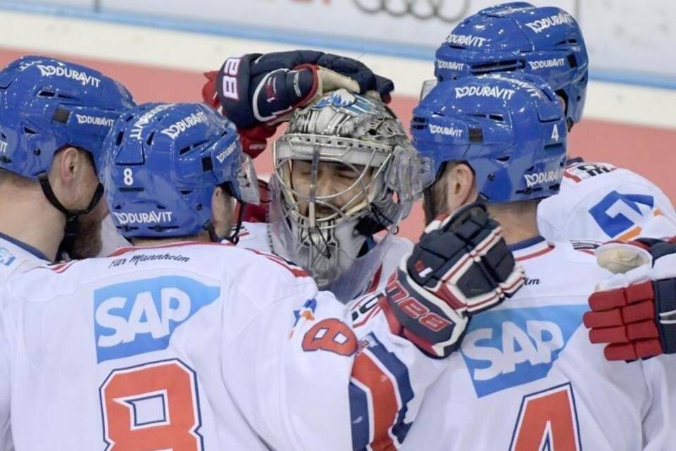 Adler Mannheim Adler Mannheim