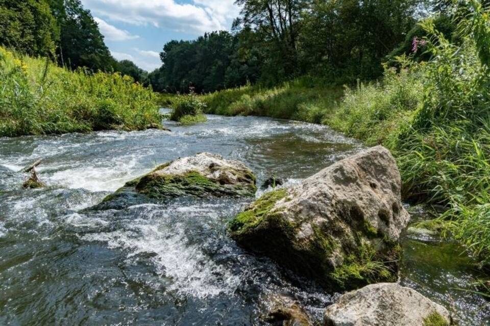 Donau-Auen Donau-Auen