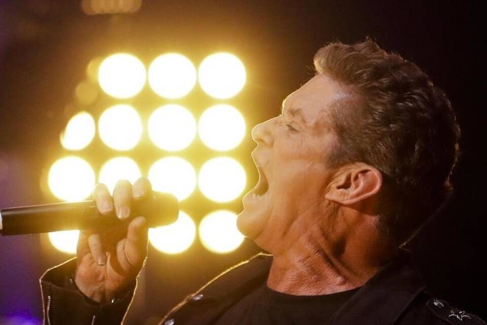 David Hasselhoff David Hasselhoff
