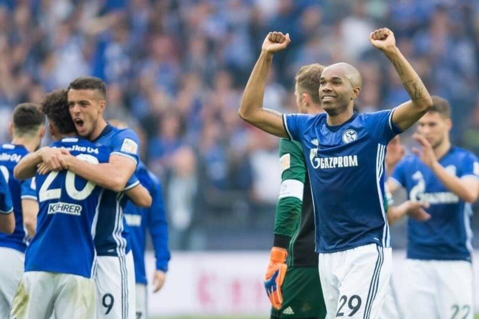 Naldo Naldo