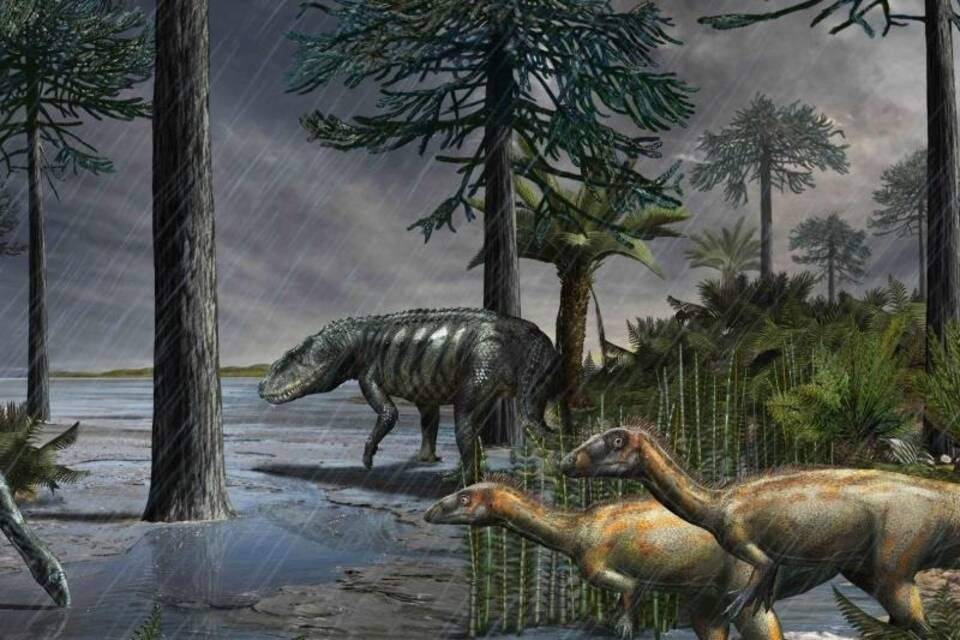 Dinosaurier Dinosaurier