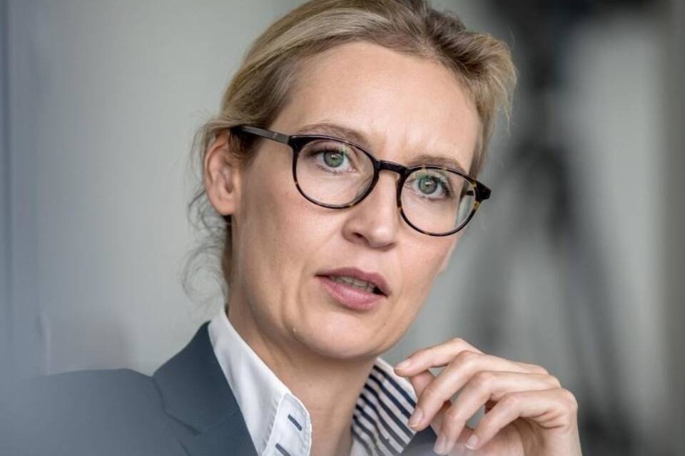 Alice Weidel Alice Weidel