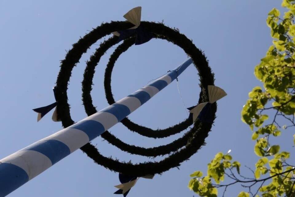 Maibaum Maibaum