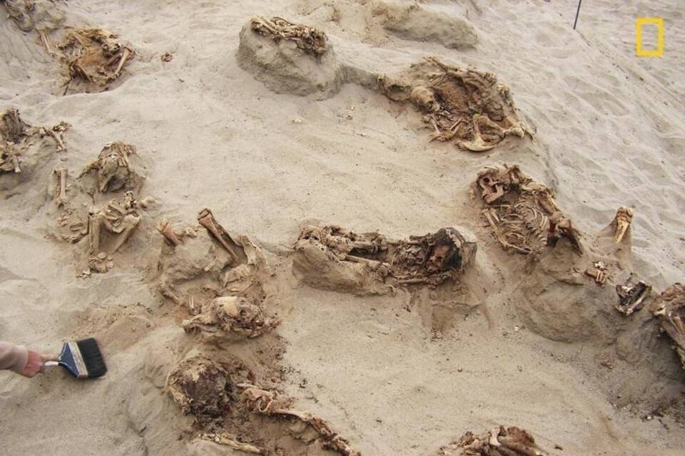 Massengrab Massengrab