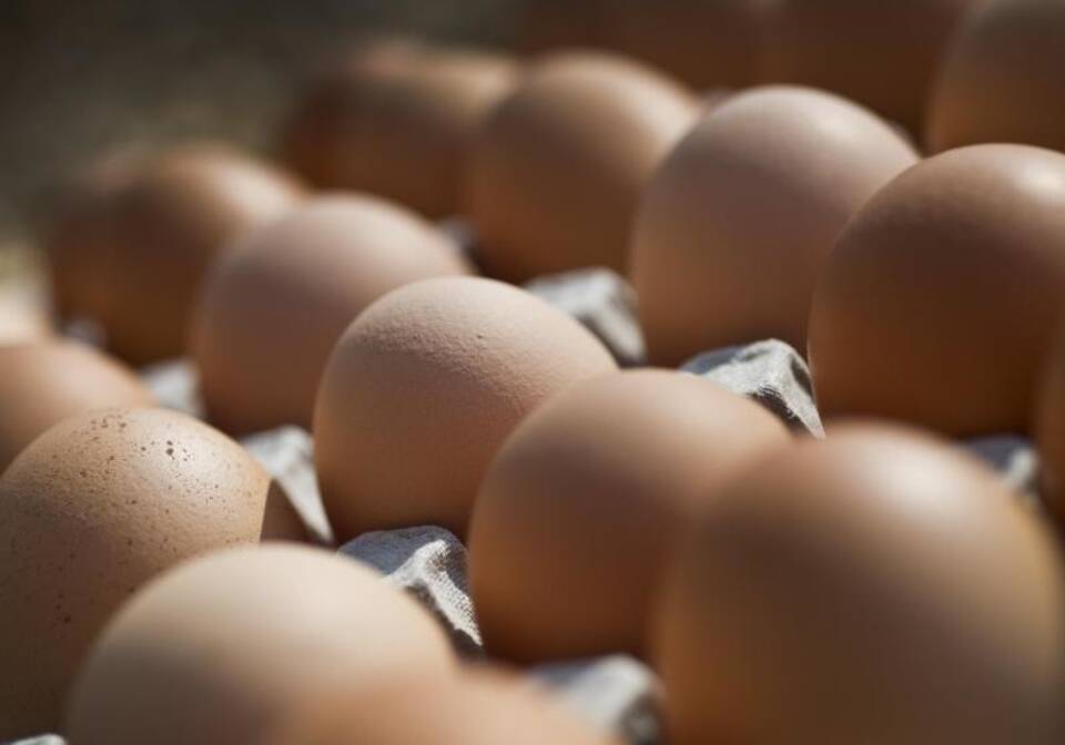 Eier Eier