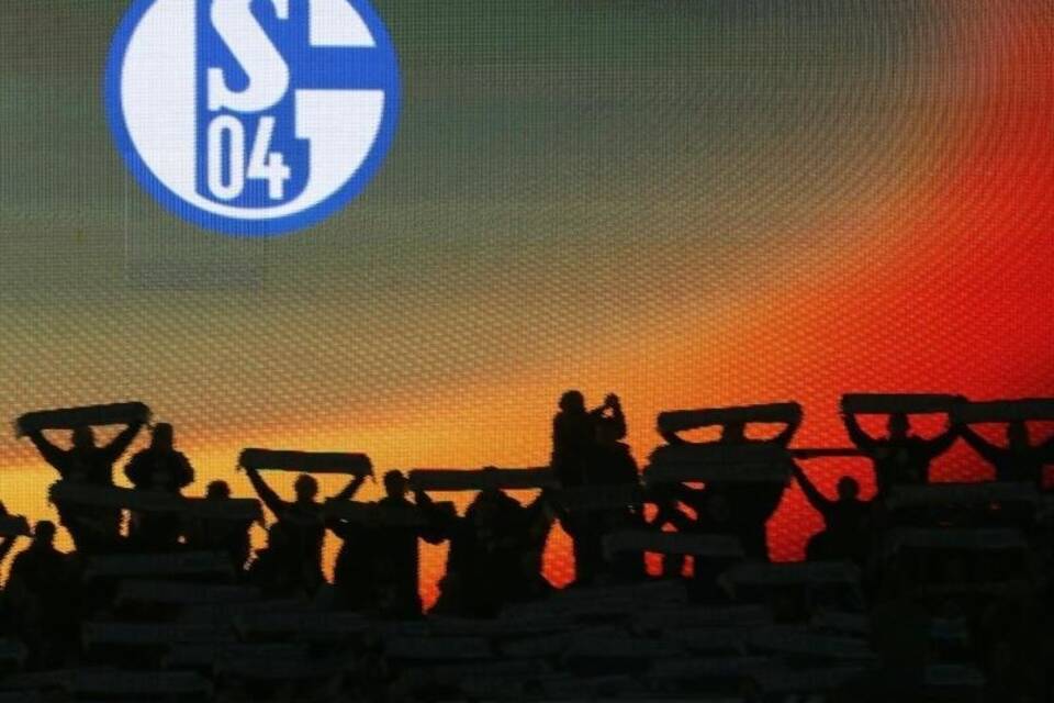 Schalker Minimalisten