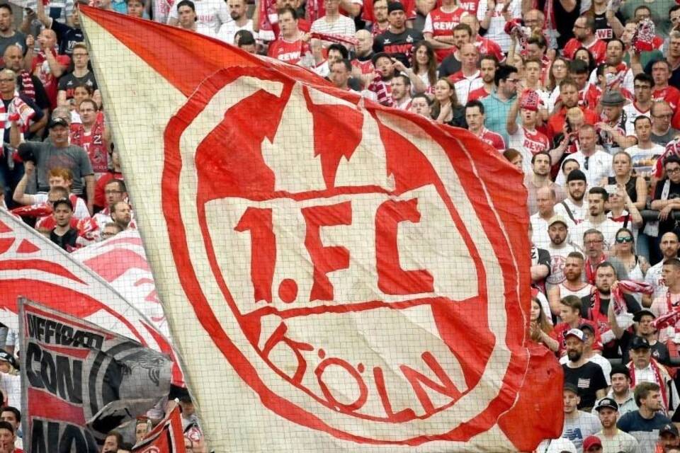 1. FC Köln - Fans 1. FC Köln - Fans