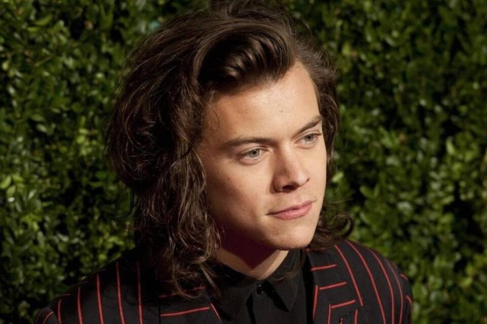 Harry Styles Harry Styles