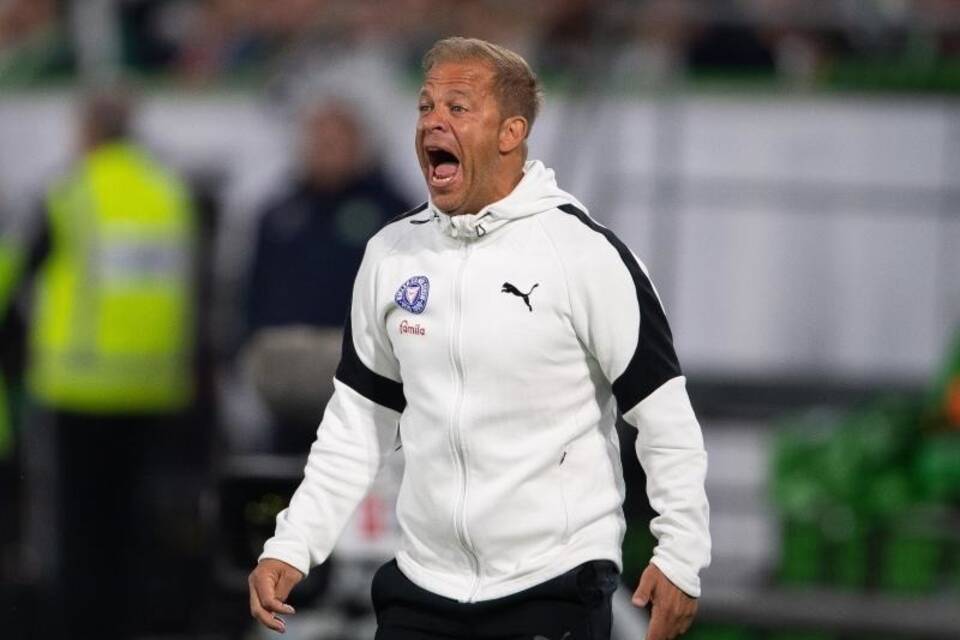 Holstein-Coach Holstein-Coach
