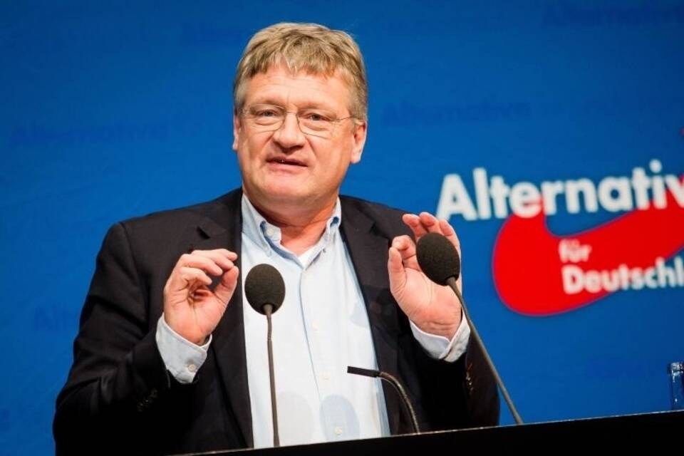 AfD-Chef Meuthen