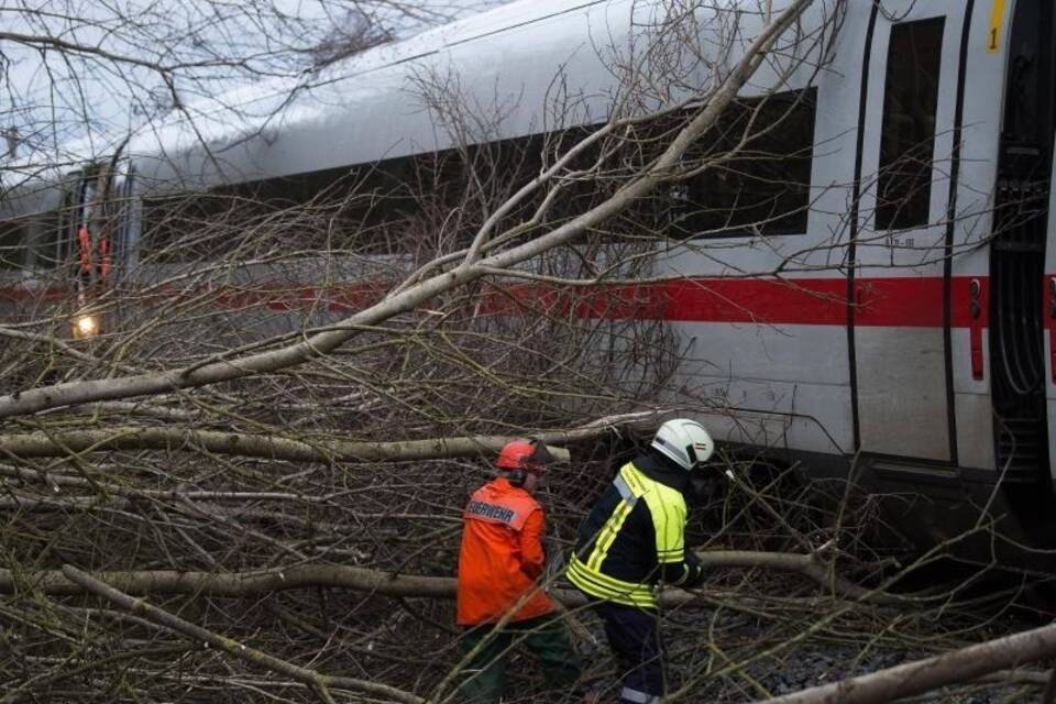 Umgestürzte Bäume behindern Bahnverkehr