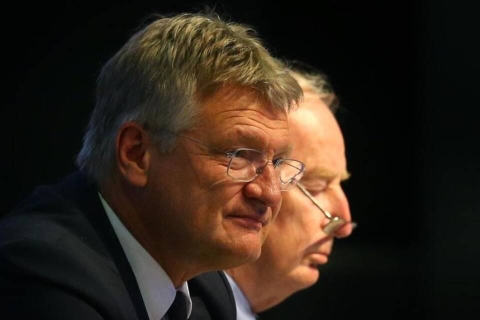 Meuthen und Gauland Meuthen und Gauland