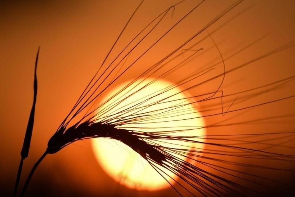 Sonnenuntergang in Brandenburg