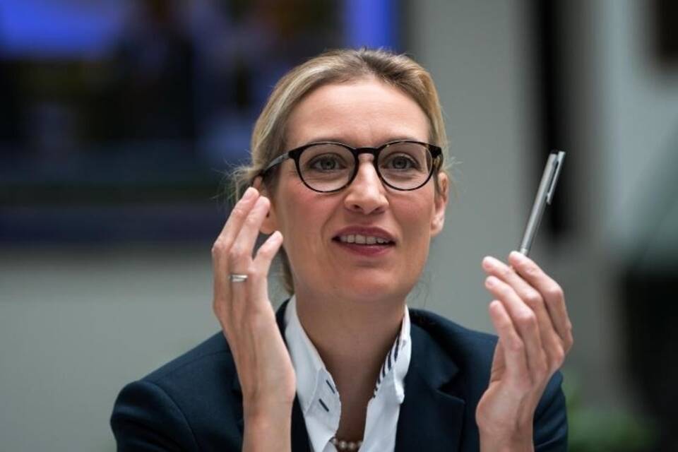 Alice Weidel Alice Weidel