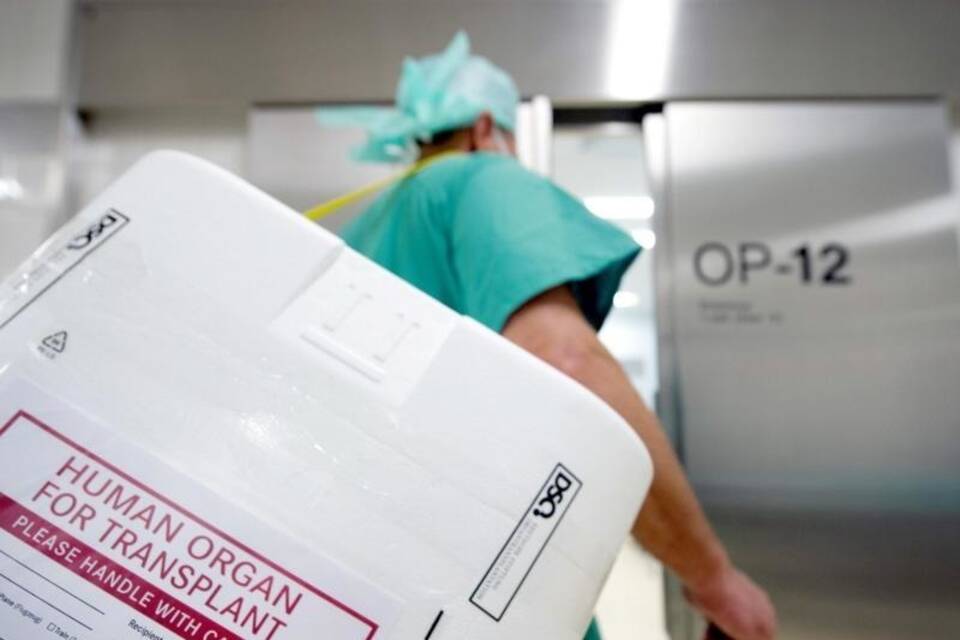 Organspenden Organspenden