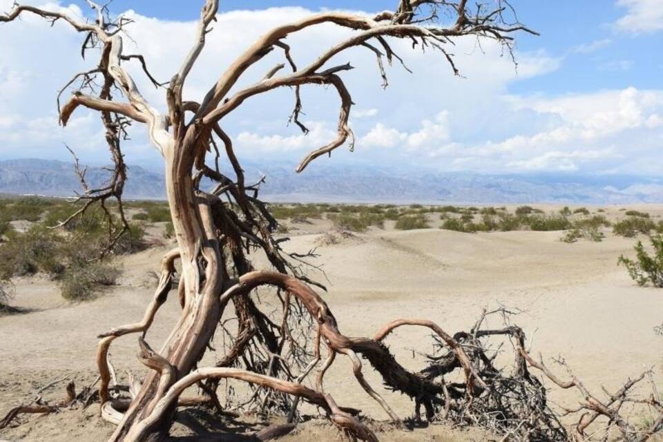 Death Valley National Park