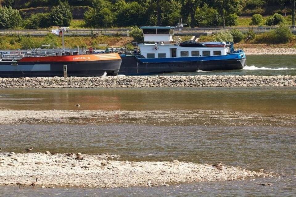 Niedrigwasser am Rhein