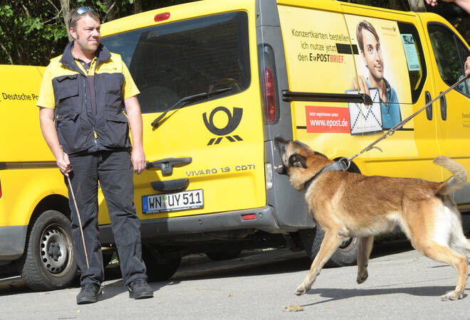 Bammental Hund beißt Postbote Nachrichten Region Heidelberg RNZ