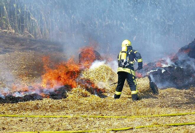 Strohfeuer Strohfeuer
