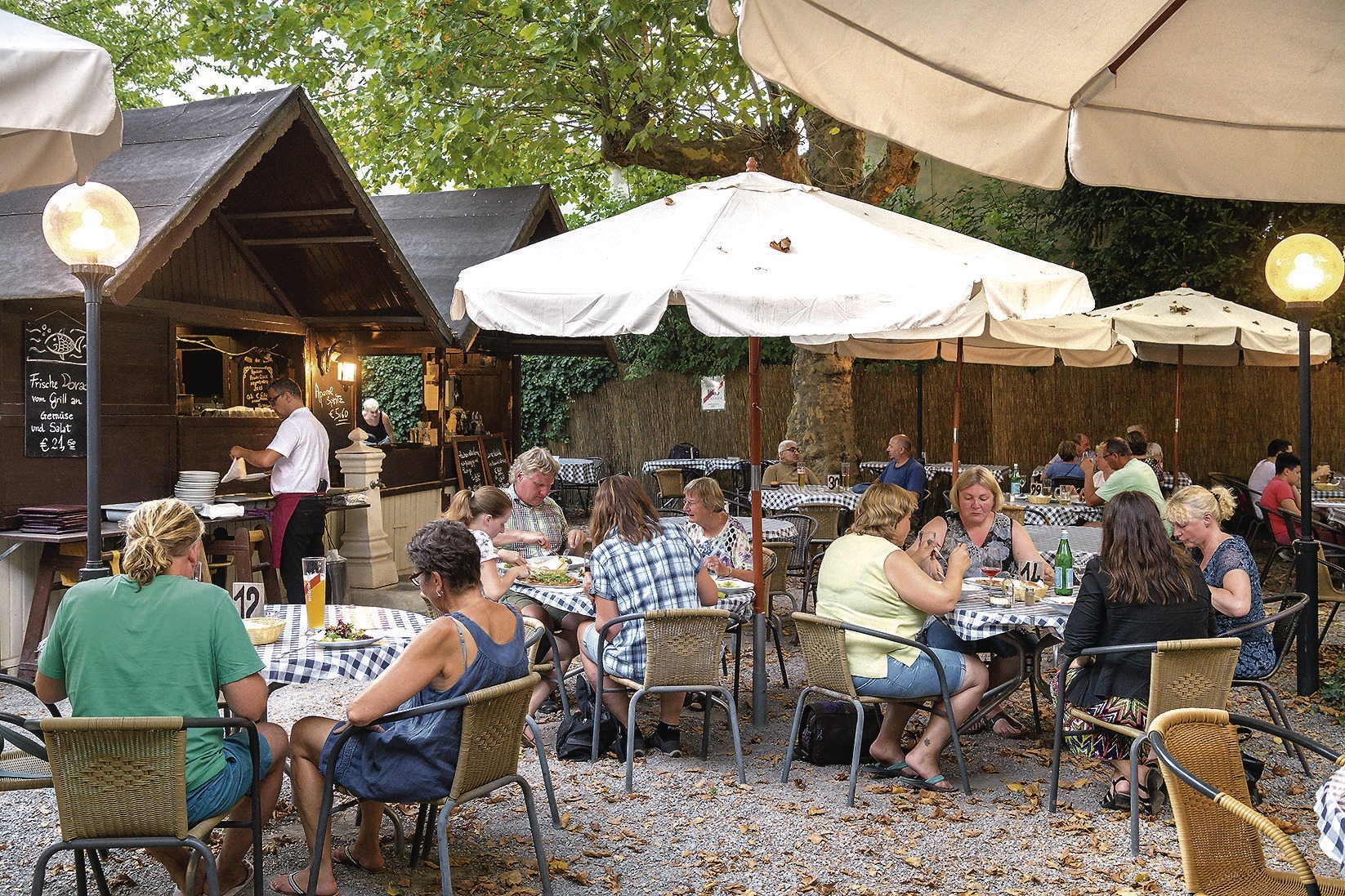 Heidelbergs Biergarten Dolce Vita Unter Den Platanen Der Goldenen Rose Nachrichten Aus Heidelberg Rnz