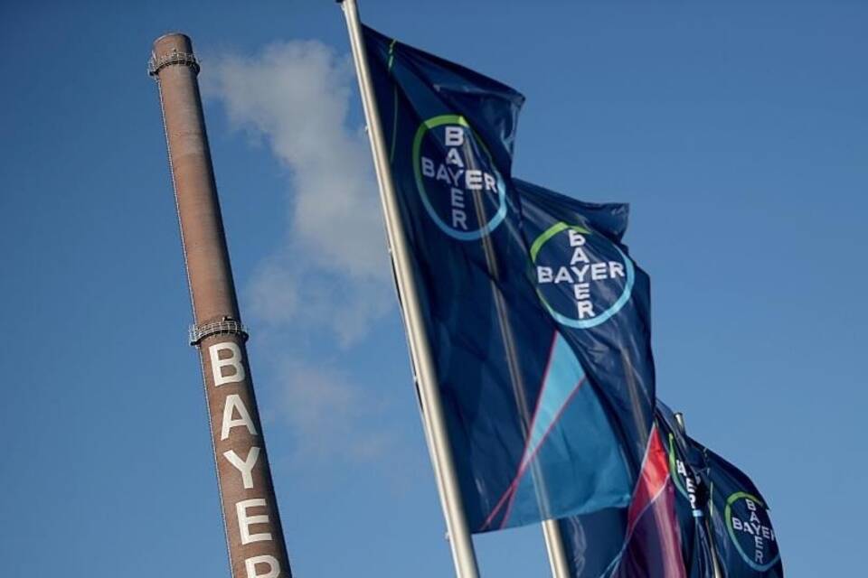 Bayer Bayer