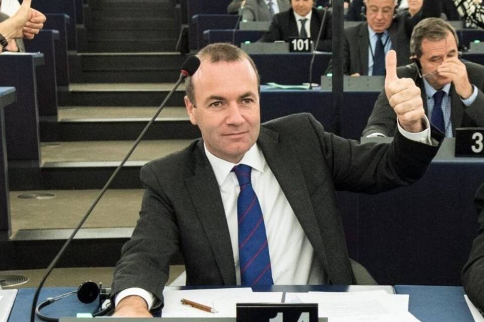 Manfred Weber Manfred Weber
