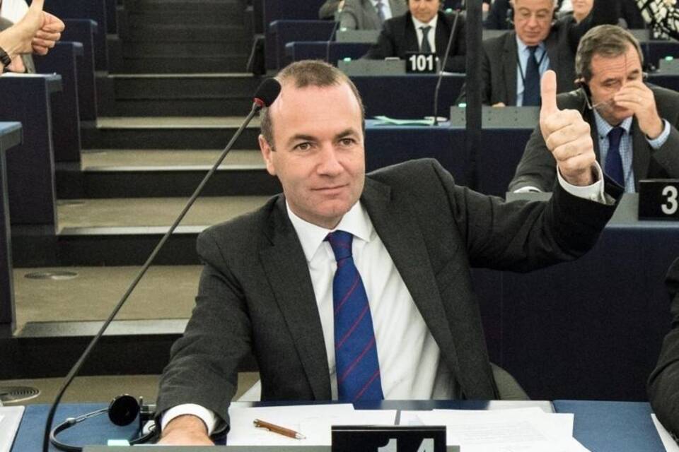 Manfred Weber