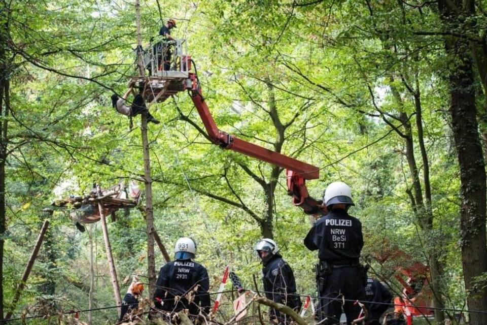 Hambacher Forst